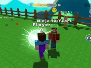Block Battle - Noob vs Pro game thumbnail