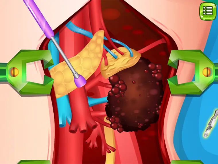 Princess Kidney Transplant game thumbnail