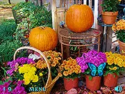 100 Butterflies: Autumn Garden game thumbnail
