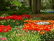 Flower Garden game thumbnail