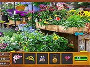 Hidden Flowers game thumbnail