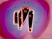 Fun Choir game thumbnail