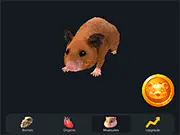 Hamster Combo Idle game thumbnail