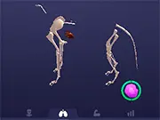 Idle Pet game thumbnail