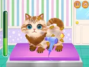 Funny Pet Haircut game thumbnail