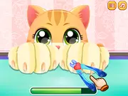 Kitty Fun Care game thumbnail