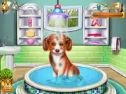 Pretty Puppy Care game thumbnail