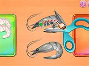 Roxie's Kitchen: Spring Roll game thumbnail