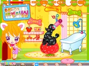 Sue's Dog Beauty Salon game thumbnail