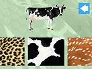 Animal Skins game thumbnail