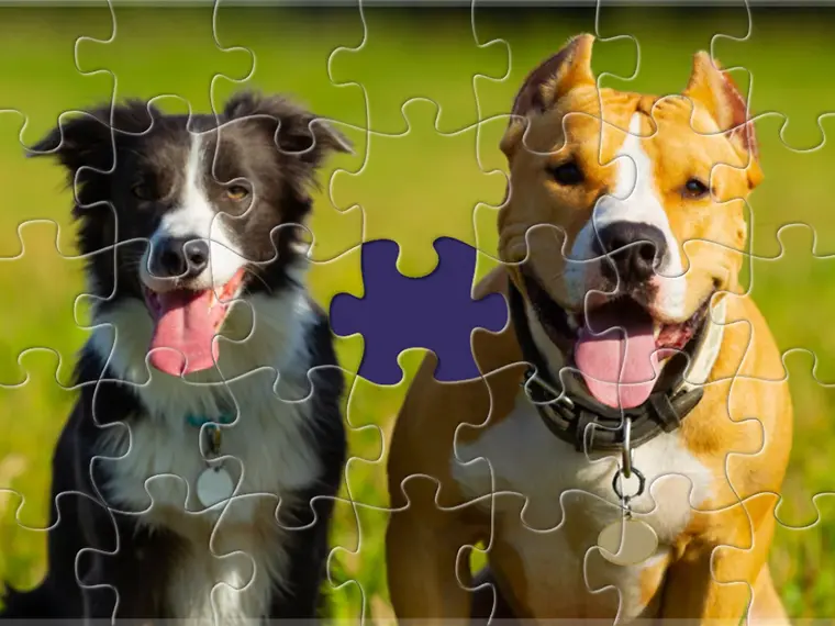 Cozy Jigsaw Puzzles game thumbnail
