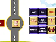 Human Organ Scanner game thumbnail
