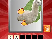 Scratch and Guess Animals game thumbnail