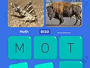 Word Search: Fun Puzzle game thumbnail
