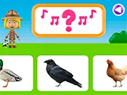 World of Alice: Animal Sounds game thumbnail