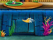 My Dolphin Show game thumbnail
