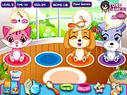 Pet Shop Caring game thumbnail