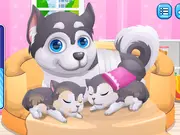 Cute Puppy Pregnant game thumbnail