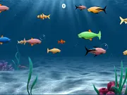 Franky the Fish game thumbnail