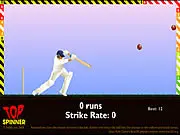 Top Spinner Cricket game thumbnail
