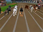 Crazy Dog Racing Fever game thumbnail