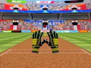 Cricket Fielder Challenge game thumbnail
