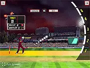 Cricket World Cup game thumbnail
