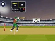T20 Cricket game thumbnail