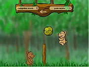 Teddy Ball game thumbnail