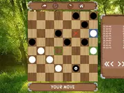 Classic Checkers: Forest game thumbnail