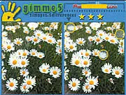 Gimme5 game thumbnail