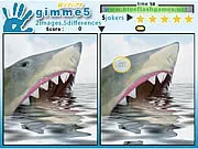 Gimme5 - Wildlife game thumbnail