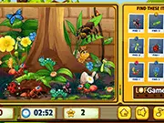 Hidden Objects Insects game thumbnail