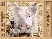 Jigsaw Puzzle Deluxe game thumbnail
