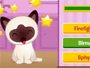 Kitty Quiz game thumbnail