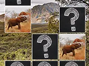 Memory Match Jungle Animals game thumbnail