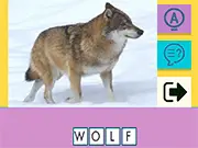 Picture Quiz game thumbnail