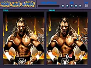 Wrestling Stars Differences game thumbnail