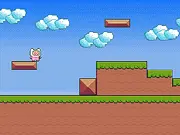 Double Jumper game artwork